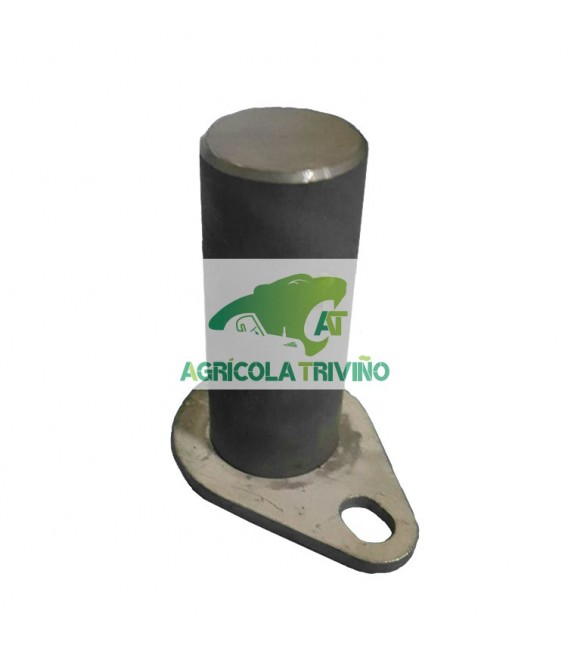 Bulón piñón excéntrica