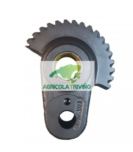 Piñón para excéntrica helicoidal