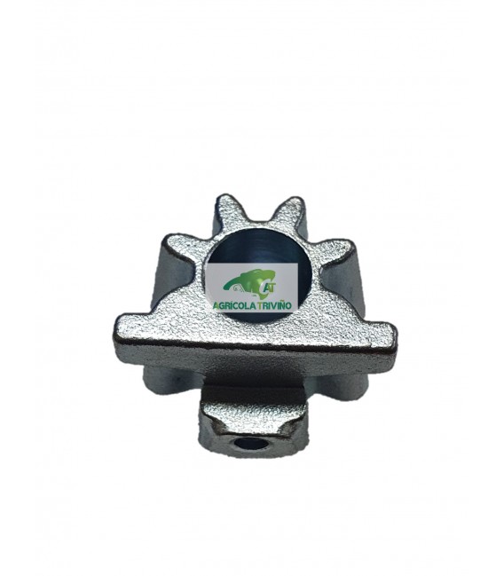 PIÑON PAJARITO BATLLE