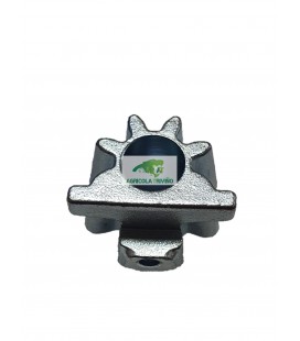 PIÑON PAJARITO NEW HOLLAND