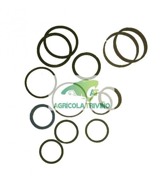 Juego de juntas para cilindro hidráulico