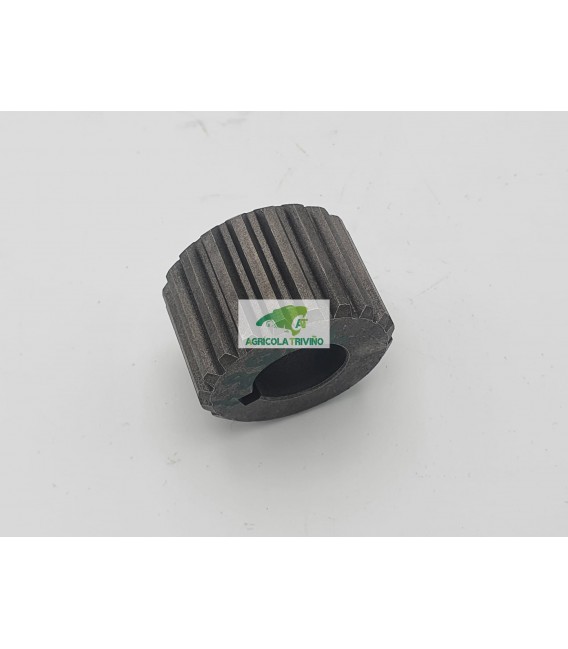 PIÑON GRUPO 3 Z-20 TOPAVI