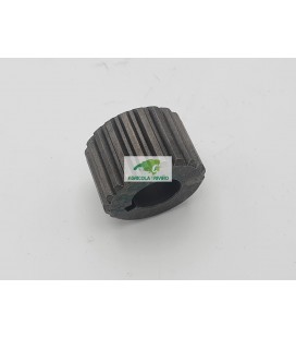 PIÑON GRUPO 3 Z-20 TOPAVI