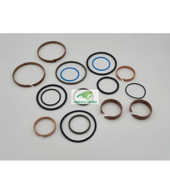 JUEGO REPARACION VIB REFORZADO Y PROFESIONAL 2004 V55 TOPAVI