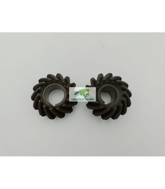 PAREJA PIÑONES CAJA INTRODUCTOR BATLLE