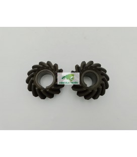 PAREJA PIÑONES CAJA INTRODUCTOR BATLLE