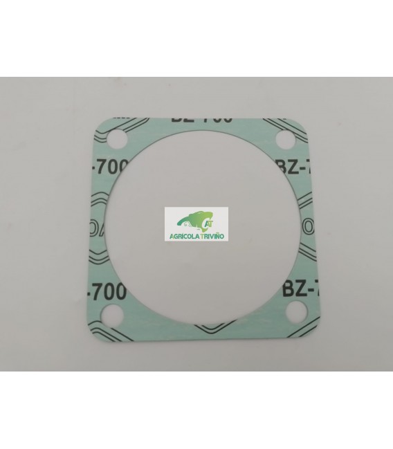 JUNTA PLANA SAE C BZ S820 TOPAVI