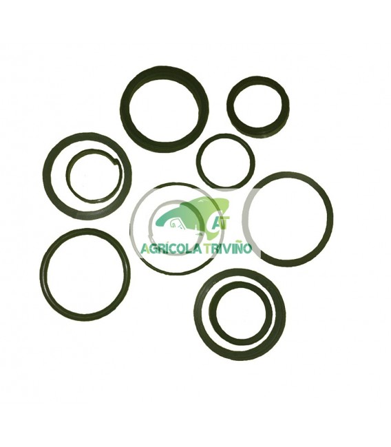 Juego de juntas para cilindro hidráulico antiguo