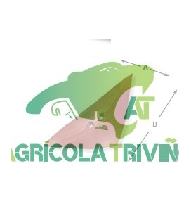 Reja Chisel Semichisel