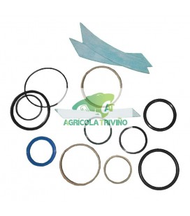 Juego de juntas para cilindro hidráulico de pinza cangrejo