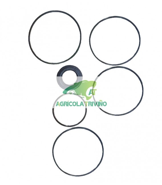 Juego de juntas motor eje