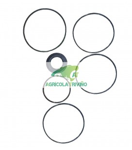 Juego de juntas motor eje