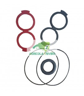 JGO REP Galtech motor peladora M6-2010