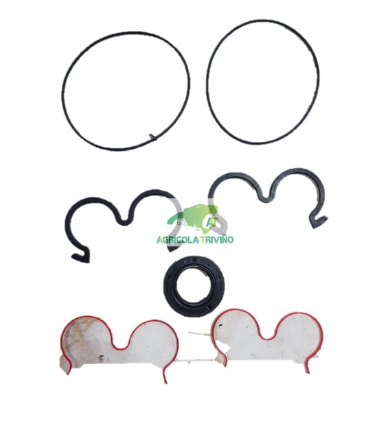 Juego retenes para bomba principal Topavi