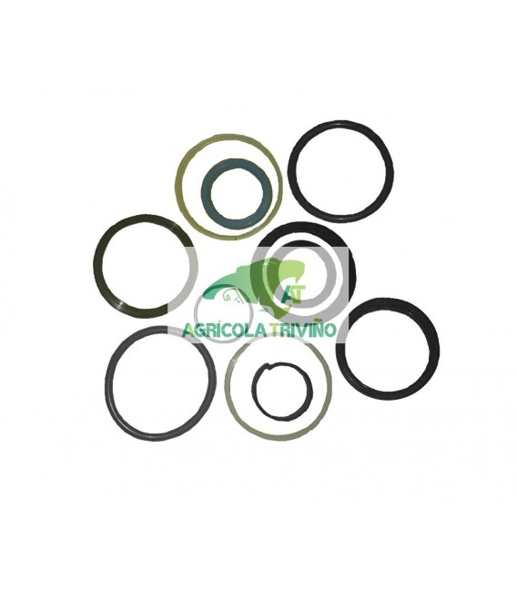 Juego retenes cilindro elevación moderno