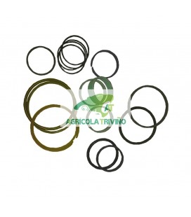 Kit de juntas para cilindro PV2004(TP420)