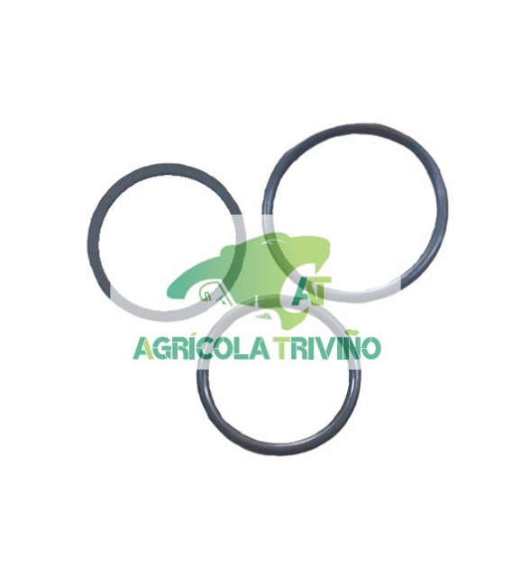 Juego de reparación anti-retorno