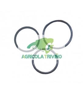 Juego de reparación anti-retorno