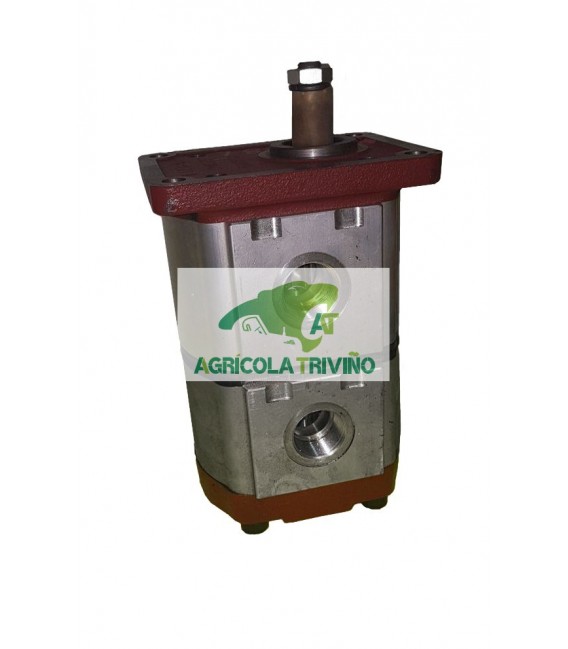 Bomba hidráulica grupo 3 doble