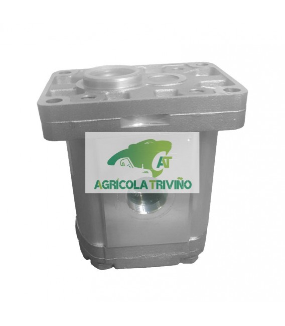 Bomba hidráulica grupo 2 A16 eje interno