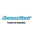Landini